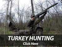 Wisconsin Turkey Hunting